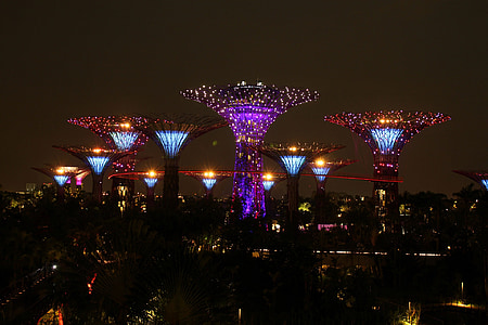 Singapur, drevo, nebo, noč, mejnik, Park, Aziji