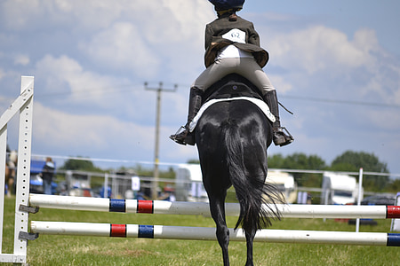 action, cheval, sauter, équitation aux Jeux, randonnées à cheval, Motion, à l’extérieur
