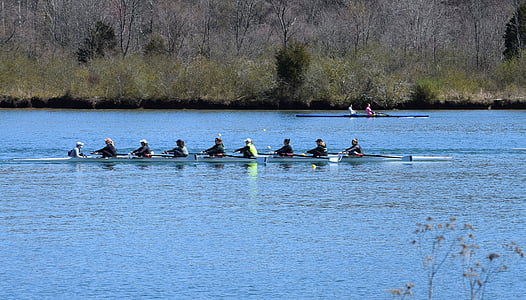 女士们橹划船, 橹划船, 女士们, 赛艇, 体育, 金琪河, 梅尔顿湖