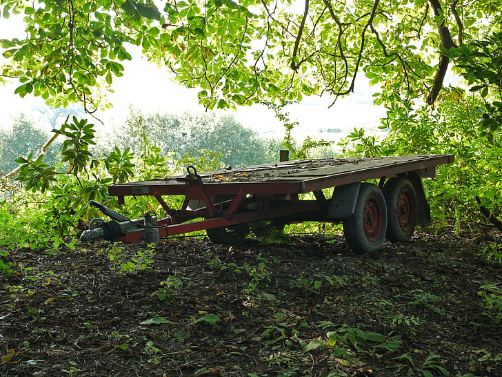 trailer, wheels, overhanging leaves, shadow, outdoor, nature, green