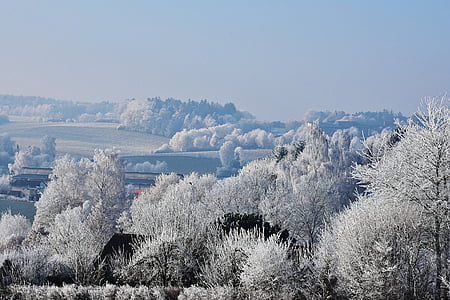 пейзаж, Зима, деревья, небо, снег, Зимний, Зимние деревья