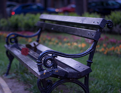 bench, park, romance, roses, waiting, focus on foreground, empty