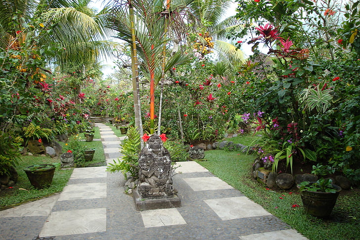 Taman, tropis, Bali, perdamaian, tanaman, bunga, hari