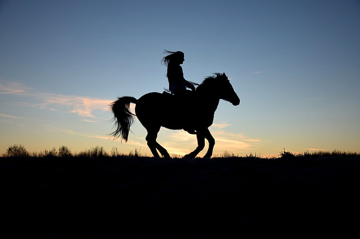 silhouette, lever du soleil, barrage de, Ride, cheval, humaine, Reiter