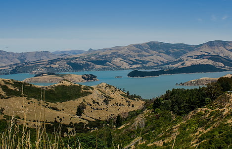 Nouvelle-Zélande, colline, Cove, nature, Pass, paysage, arbre