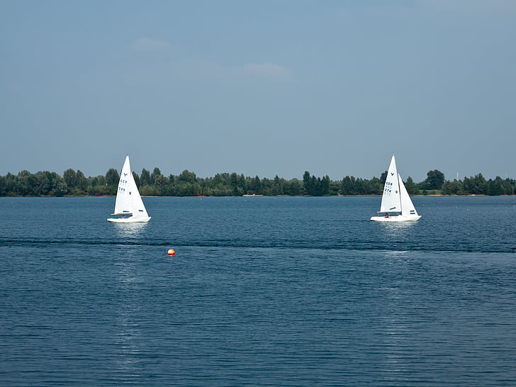 sailing boat, sail, lake, water sports, boot, sunshine, water