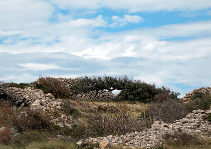 island of rab, croatia, landscape, vegetation, rocky, steinig, karg