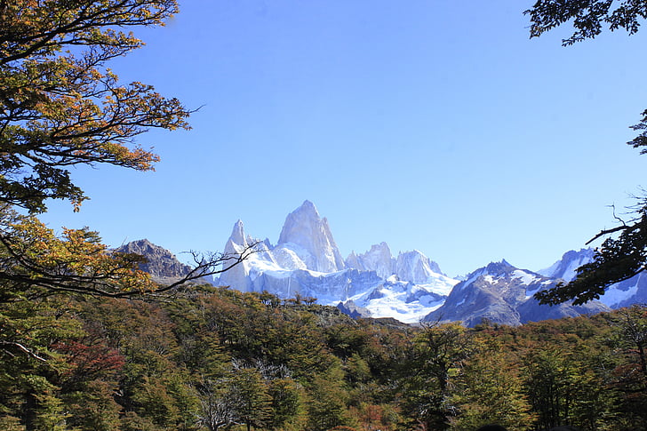 Cerro fitz roy, landskap, s, södra argentina, naturen, Fitz roy, Santa cruz