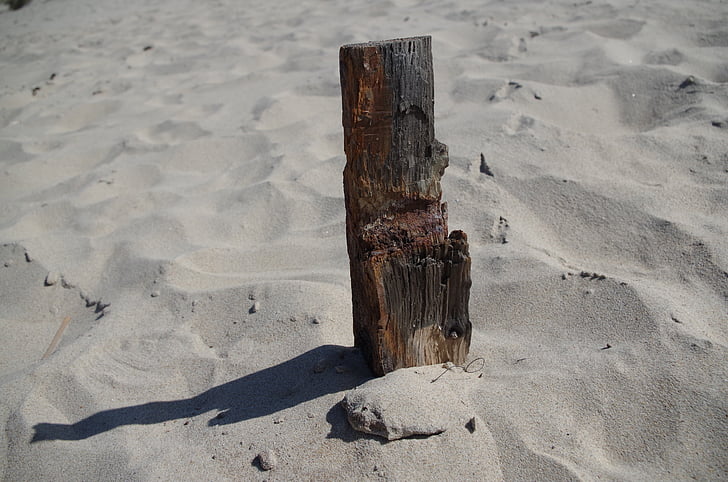 plajă, derivă din lemn, rămăşiţe şi jetsam, nisip, plutirea, mare