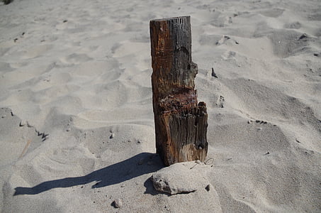 praia, madeira de tração, flotsam and jetsam, areia, madeira petrificada, mar