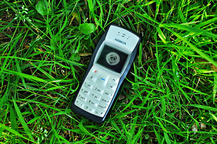telefoon, Cellphone, mobiele, Nokia, Nokia 1100, oproep, telecommunicatie