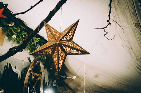 zvijezda, Božić, odmor, festivala, božićno drvce, dekoracija, svjetlo