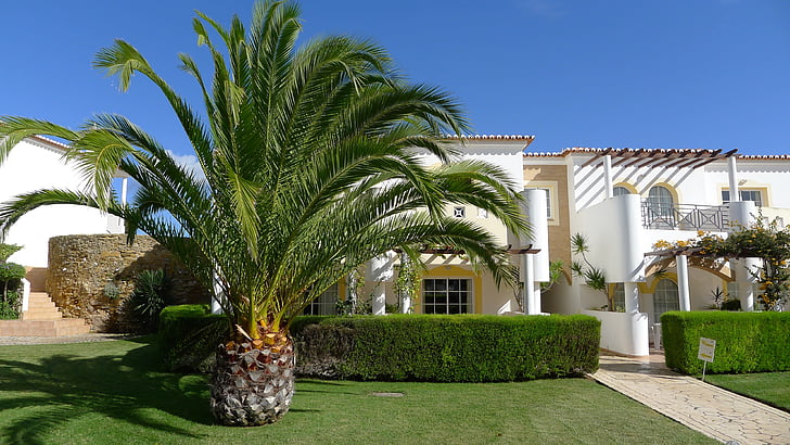 palmy, Hotel, Portugalsko, Luxusné, Exteriér budovy, strom, Architektúra