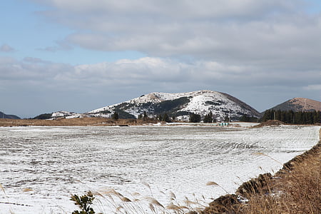 Nanebevstoupení Páně, Zimní, sníh, ranč, sněhové květiny, ostrov Jeju, Korejská republika