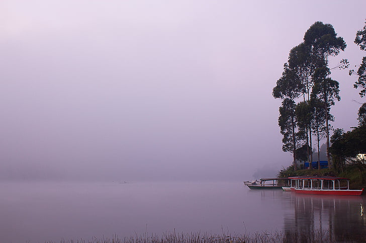 nature, landscape, water, river, lake, trees, fog