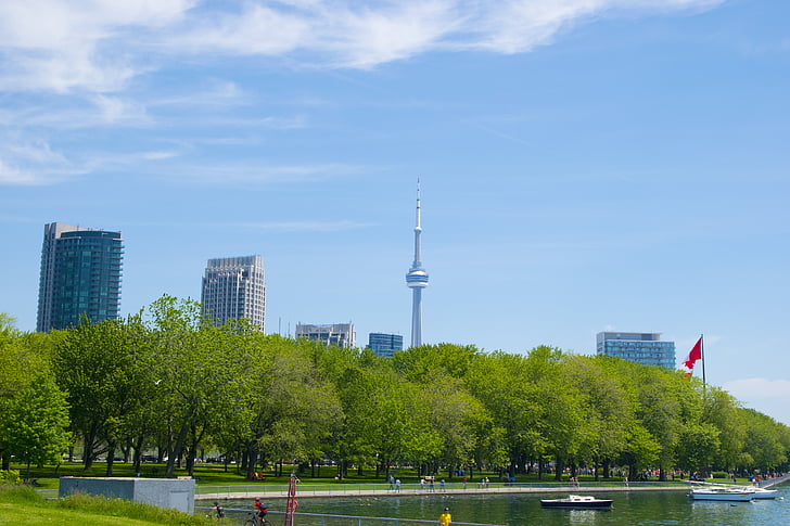 Toronto, Ontario, Canada, cn tower, City, Urban, rejse