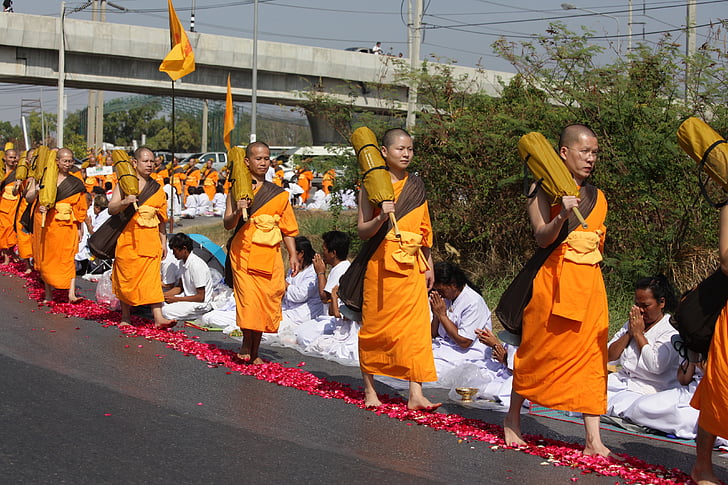 monjes, budistas, budismo, a pie, naranja, batas de, Tailandés