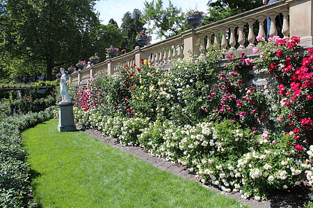 цветя, Красив, ограда