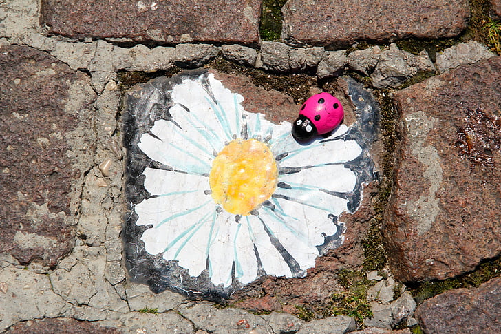 margarite, paving stone, ladybug