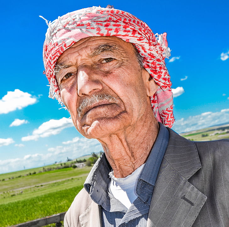 male, portrait, farmer, agriculture, looking, nature, livestock