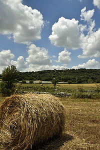 landsbygda i puglia, kampanje barsento, landskapet over alberobello, høy, Bale av høy