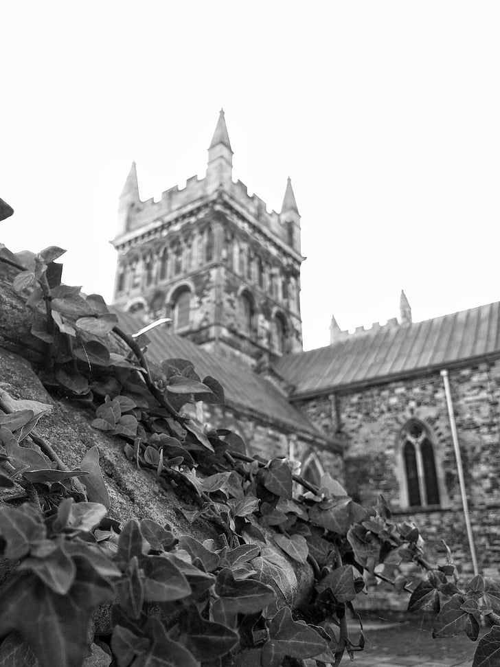 Wimborne minster, Minster, Kościół, Dorset, stary, Architektura, anglikański