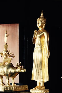 bangkok, buddha, gold, meditation, buddhism, thailand, asia