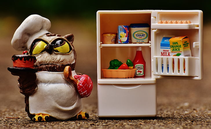 owl, bake, cook, refrigerator, figure, cute, funny