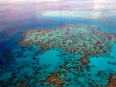 gran barrera de coral, buceo, Coral, Océano, Pacífico, vista aérea, Australia