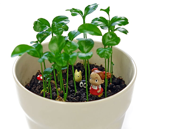 figurine, pot, plant, decorative, green, ceramic, soil
