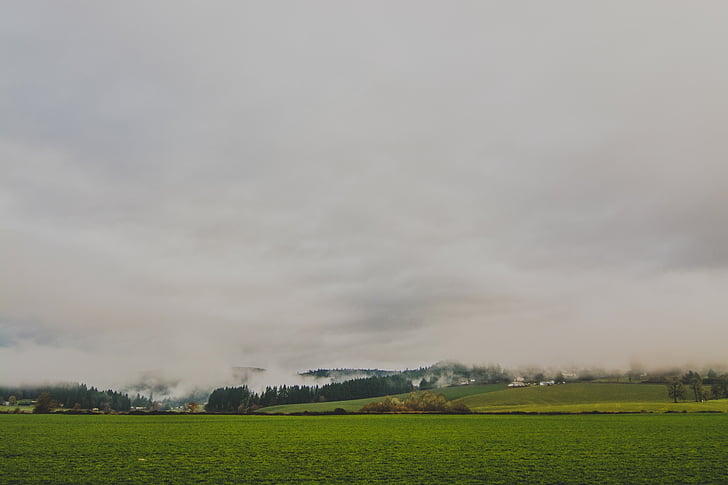 rural, zona rural, campos, grama, nuvens, nublado