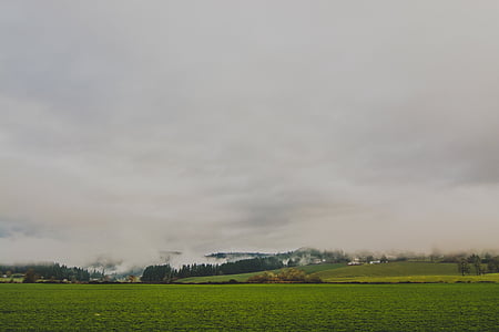 農村, 田園地帯, フィールド, 草, 雲, 曇り