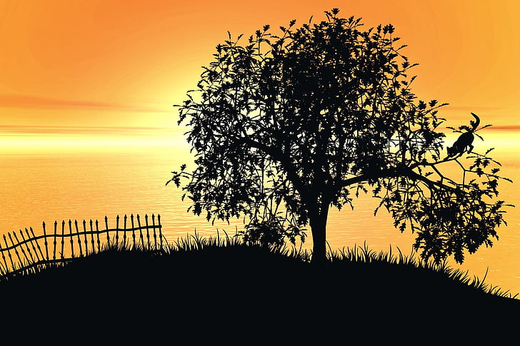 tree, landscape, sunset, lake, sky, cat, fence