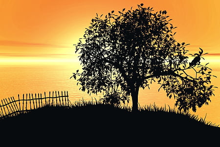 drvo, krajolik, zalazak sunca, jezero, nebo, mačka, ograda