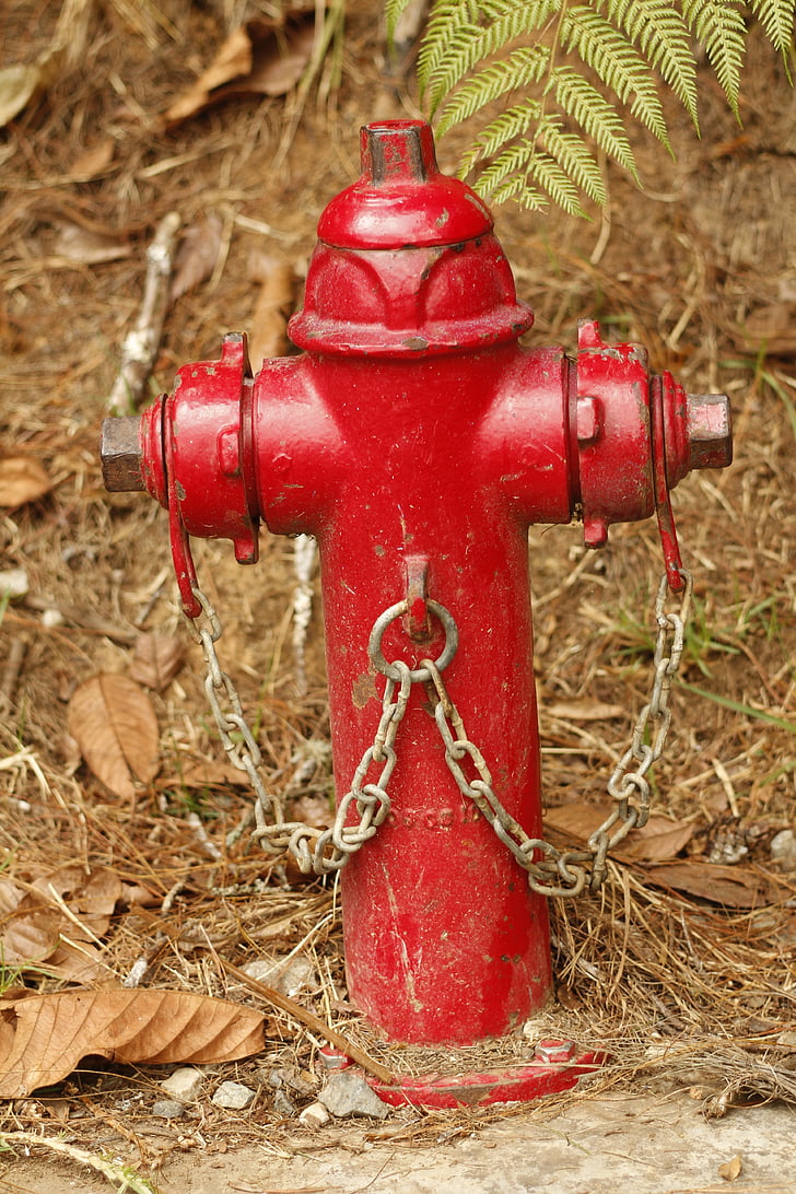 hydrantu, wody, czerwony, strażak