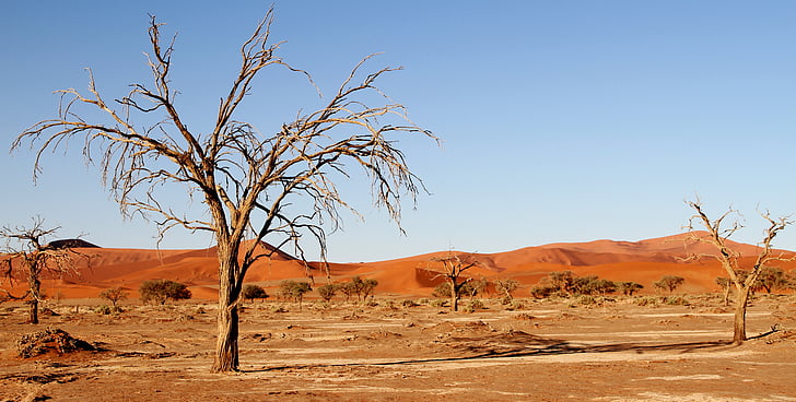 désert, Namibie, dunes, l’Afrique, Sossusvlei, paysage désertique, soussousvlie