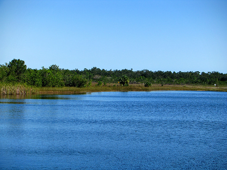florida, lake, view, blue, nature, park, forest
