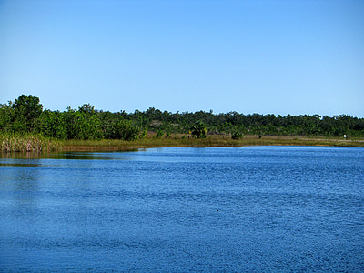 Florida, Lake, weergave, blauw, natuur, Park, bos