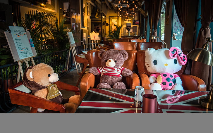 boneka beruang, Lounge, anaknya, KT kucing, masa kanak-kanak, tidak ada orang, Toko