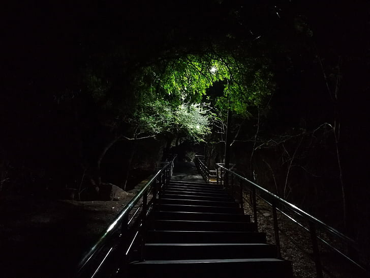 gece, merdiven, NightShot, karanlık, ağaçlar, amravati, shivtekdi