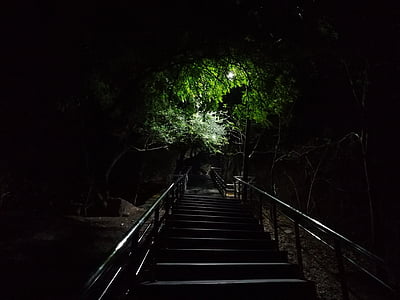 nuit, escaliers, Nightshot, sombre, arbres, Amravati, shivtekdi