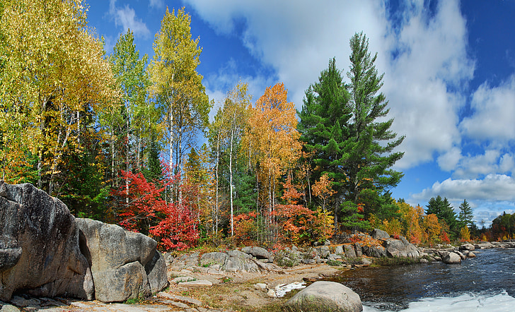 Syksy, syksyllä, värit, värit, Kanada, oranssi, Luonto