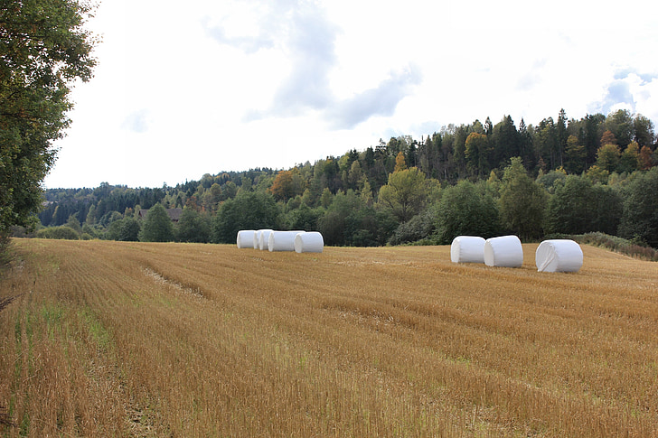 farmland, field, hay bales, forest, clouds, autumn