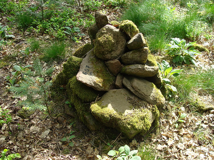 rotsohlberg, bosque Palatino, Cumbre de, Arriba, signo de, símbolo, piedras