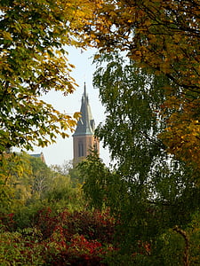 olkusz, poland, tree, foliage, autumn, nature, church