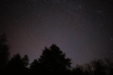 siyah, yıldızlı, gece, siluet, ağaçlar, gece, Uzay