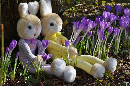 rabbit, crocus, easter, toys, deco, spring, flowers