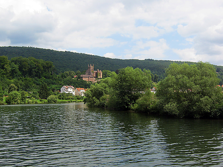 Neckar, Neckarsteinach, floden, Nuvarande, Frakt, sommar, Bank