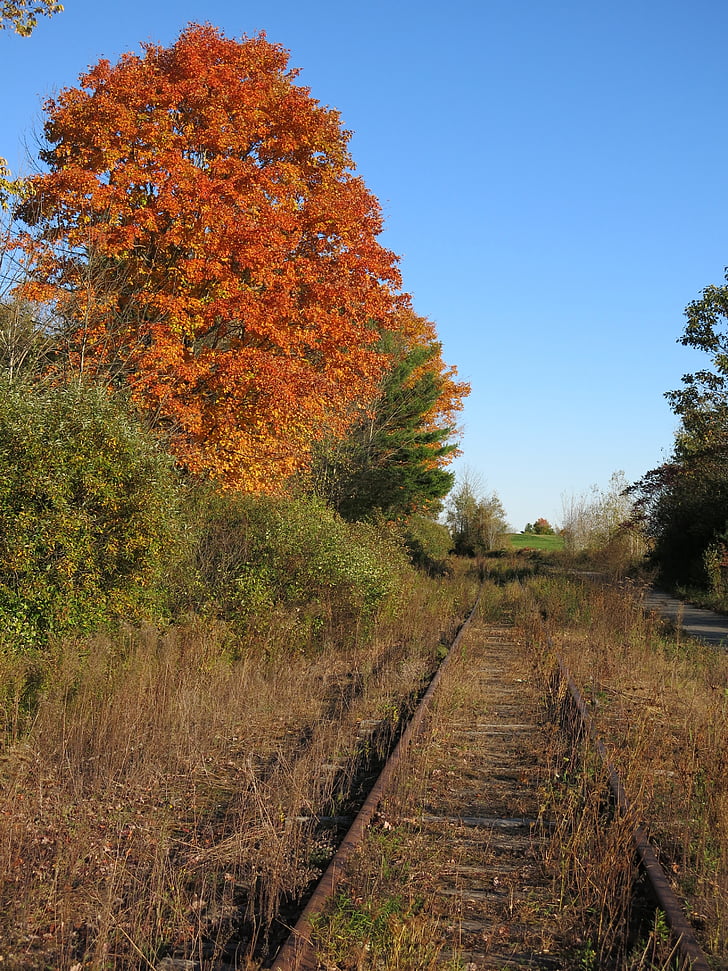 estrada de ferro, faixa, Trem, abandonado, ferroviário, Outono, enferrujada