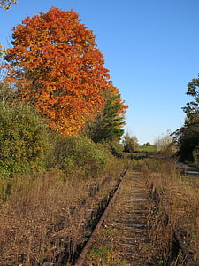 železnice, sledovať, vlak, opustené, lišta, jeseň, hrdzavé